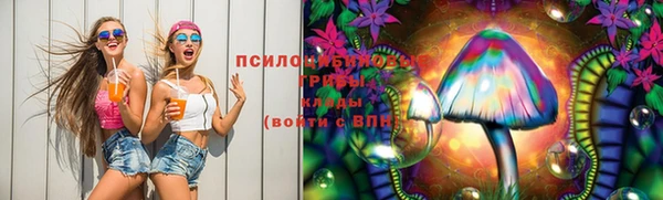 трава Арсеньев