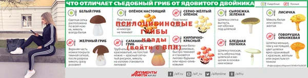 трава Арсеньев