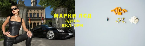 трава Арсеньев