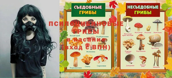 амф Усмань